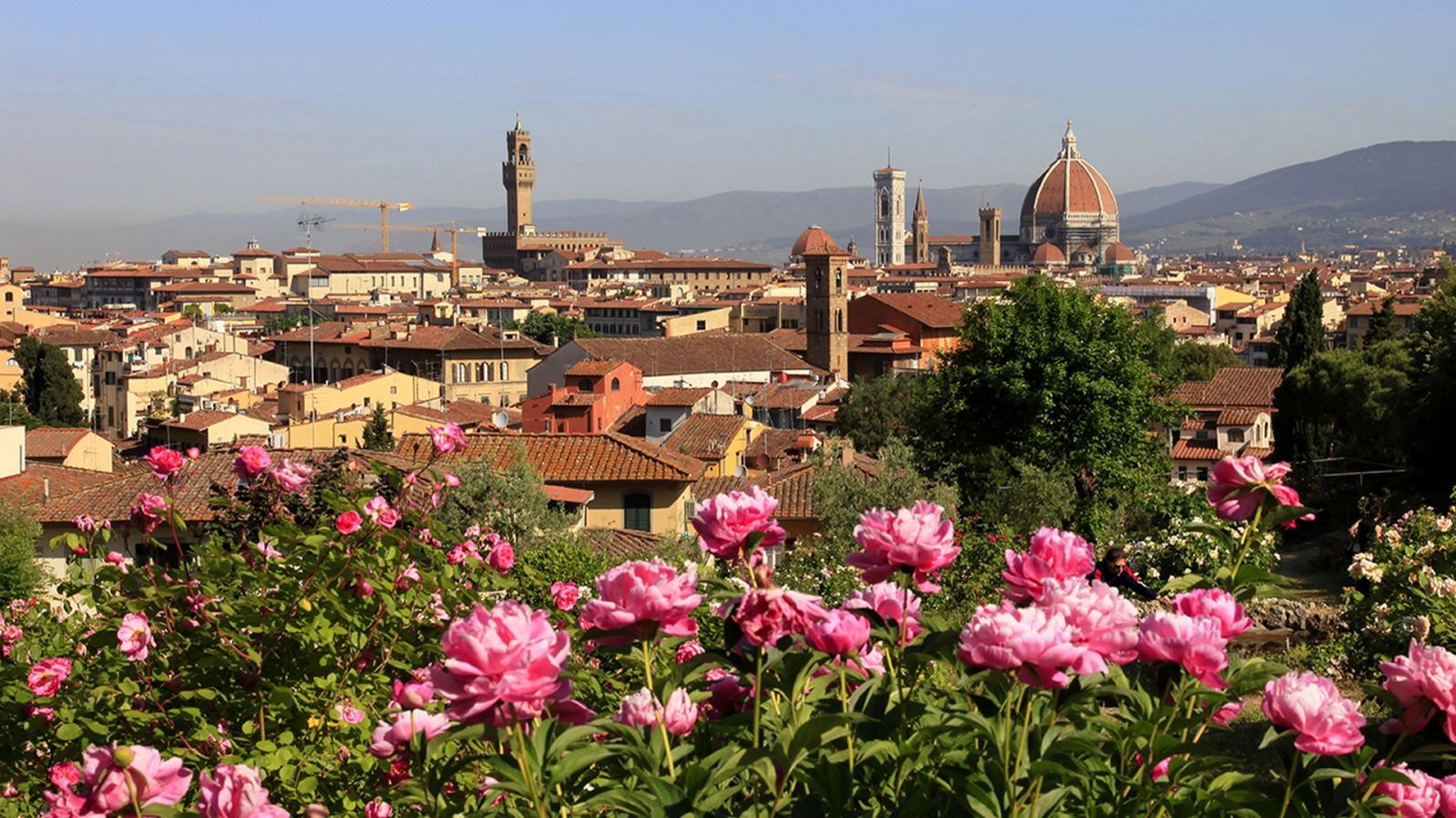 De rozentuin, Florence